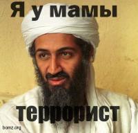 Быт террористов 