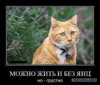 Петрозаводский неадекват. Продолжение