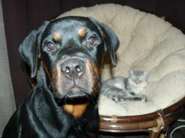 Моя (ей тут годик)