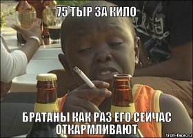Единственный в мире северный белый носорог 