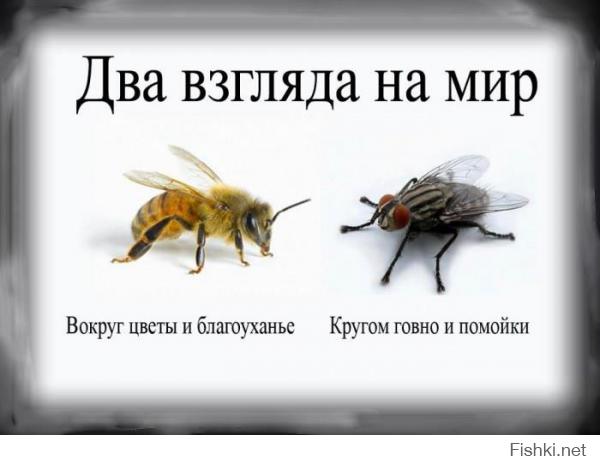 Каждый видит то, что хочет видеть. Я люблю свою страну и свою Родину, какой бы она не была, другой у меня нет и не будет!