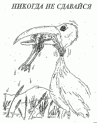 НАШ ДЕВИЗ!!!