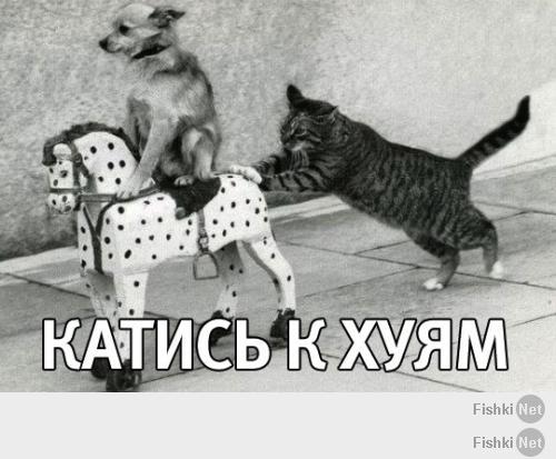Подборка видео от 22.04.2014