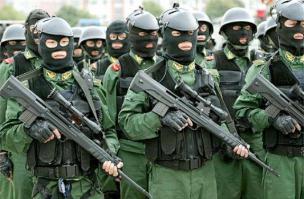 я не понимаю зачем им маски ?