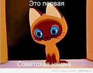 Подборка видео от 02.07.2014