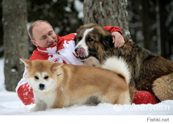 у него их аж 2е )