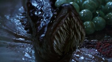 прям так и убережет ??? ))