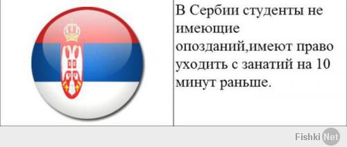 Автор,видимо, частенько уходил с уроков