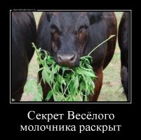 Ага, реклама Весёлого Молочника )))