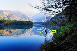 Кто там? Японские котэ?