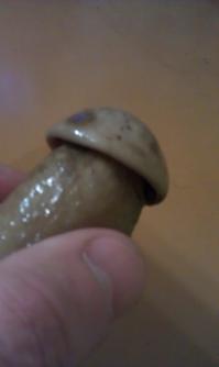 А я вот такой гиб в банке нашел,правда здорово выглядит)))