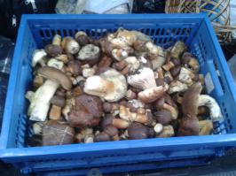  Течёт? У меня? Ну что вы, быть не может!