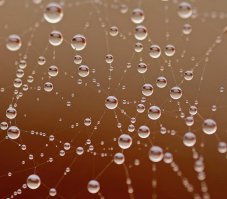 Ни один мастер не вылепит из снега то, что может вылепить природа