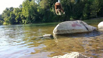 20 животных, наслаждающихся весной