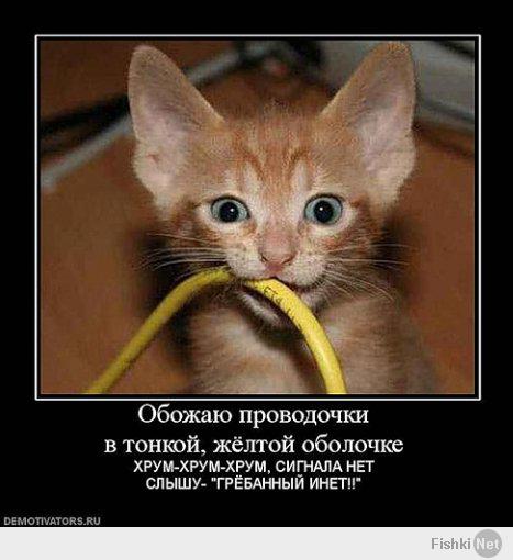 Весёлая котоматрица