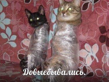 Я хренею. Прям никто не может ее успокоить... Скотчем бы смотали и ****ец
