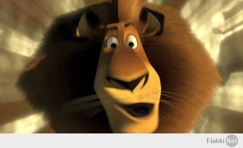 Подборка видео от 17.04.2014