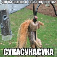 Главное чтоб не так приземлиться