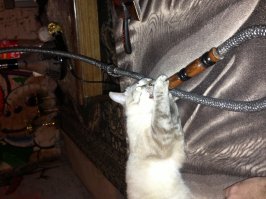 и не говори