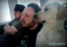 Новые открытия украинских историков