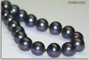 Был на Пхукете. Жена увезла от туда жемчуга на 3 кг. И черного и белого. До этого не носила вообще. Я убедил. Теперь не расстается. Правда речного. ;)
Морской несомненно дороже. Но по виду, для не посвященных, очень похожи. А самое главное, он настоящий. Я проверки взял одну жемчужину, зажал между дверей и разломал. Убедился. Но и тот и другой в десятки раз дешевле, чем у нас в России.