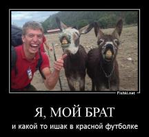 Девушки в купальниках