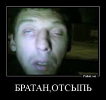 Про котёнка в картонной коробке!