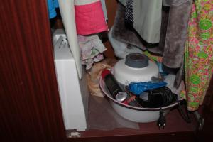 Мой тоже чуть сумка или пакет на полу - Рыжик тут как тут )) На фото он в шифонере