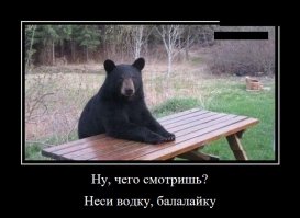 Лица Бразилии