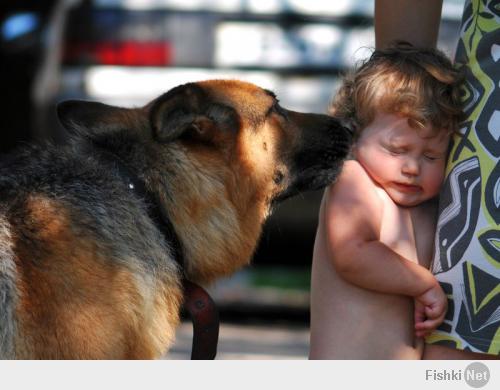 Очень милые фотографии детей с собаками