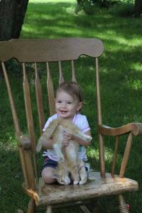 неправильная эксплуатация кота