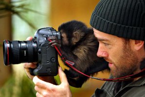 14 животных, которые не могут смириться с тем, что не родились людьми