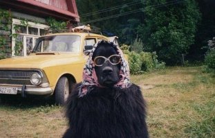 13 ужасно милых пёсиков в очках