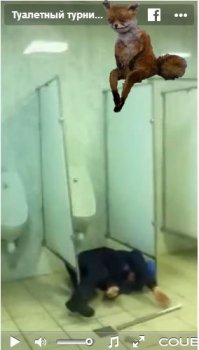 Туалетный турникмен