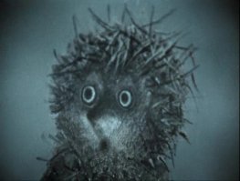 Массовое ДТП