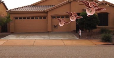 Купил квадракоптер за 3000$ (Fail)