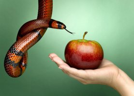 Японки хостесс. Элитная проституция, интимные темы