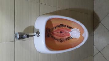 Красивейшие цветочные писсуары