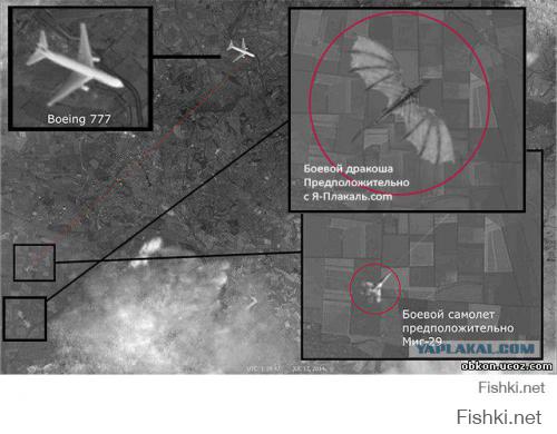 Фото 7406 x 5000 атаки на Боинг 777, MH17 (17 июля 2014, 13:19:47 UTC)
