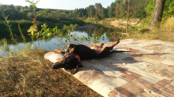 а вот моя путешественница)