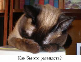 Мастера фотошопа из социальных сетей