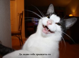  История с дороги со слов знакомой