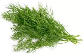 На, нюхни и узбагойся!