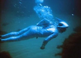 18 самых крупных обитателей океана