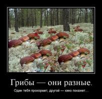 "Женщина ведет своего окрашенного бизона на сцену во время фестиваля боди-арта на быках в Цзянчэне, Китай." Строго говоря это буйвол, а не бизон...