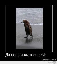 Подборка видео от 20.05.2014