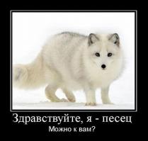 Пчелиное торнадо