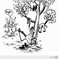 Подборка видео от 07.07.2014