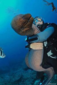 Подборка видео от 08.07.2014