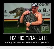 Бесстрашный фотограф